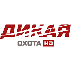 Дикая охота HD