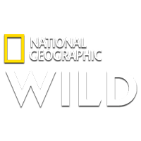Nat Geo Wild HD